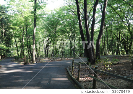 Tree burial Tree burial 53670479