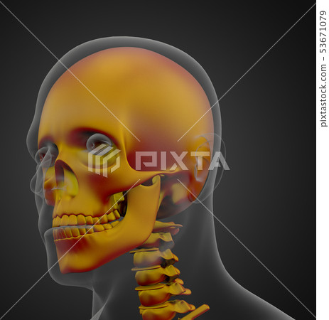 3d rendering of skull - Stock Illustration [53671079] - PIXTA