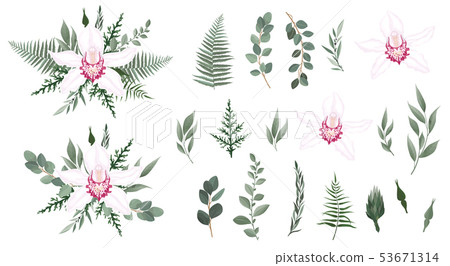 Set of floral branch. Orchid, pink rose, green Set of floral branch. Orchid, pink rose, green 53671314