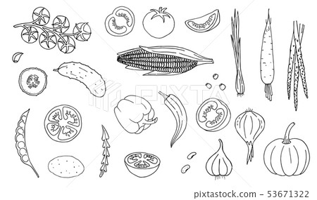Vegetables hand drawn style white color on black 53671322