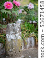Peony and stone Buddha 53671458