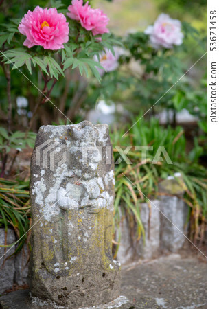 Peony and stone Buddha 53671458