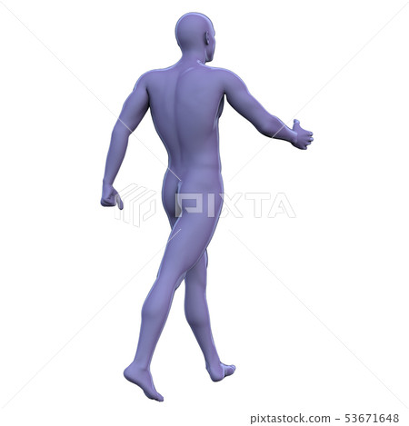 3d rendering of human - Stock Illustration [53671648] - PIXTA