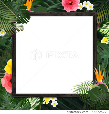 Background-Summer-Tropical-Tropical-Monstera-Plumeria-Hibiscus-Wooden Frame 53672527