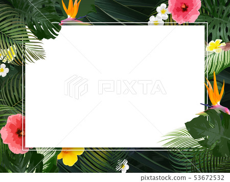 Background-Summer-Tropical-Tropical-Monstera-Plumeria-Hibiscus-Frame 53672532