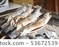 用木炭烤烤虹鱒魚 53672539