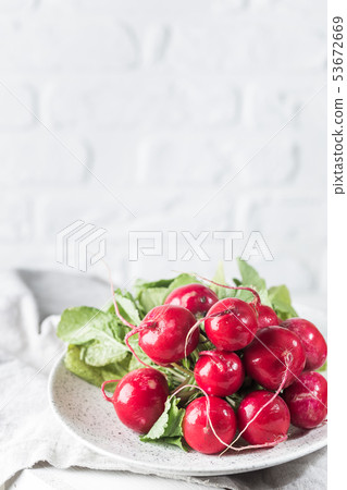 Summer harvested red radish. 53672669
