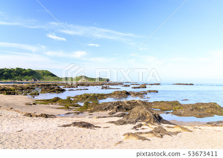 Wada Nagahama (early summer) 53673411