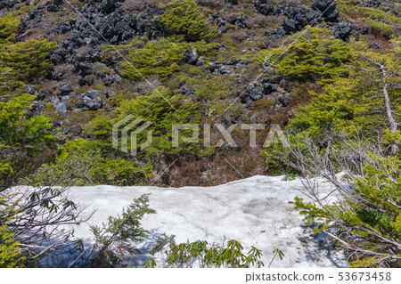 Tsuboiwa自然花園：雪仍然是Hadano市 53673458