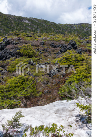 Tsuboiwa自然花園:雪仍然是Hadano市 Tsuboiwa自然花園:雪仍然是Hadano市 53673459