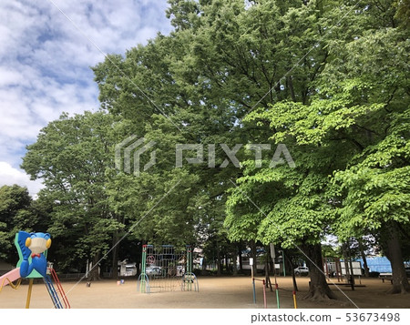 Fresh green in the park Fresh green in the park 53673498