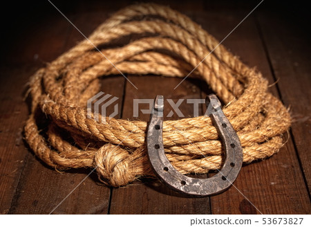 horseshoe and lasso horseshoe and lasso 53673827