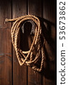 horseshoe and lasso 53673862