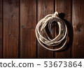 horseshoe and lasso 53673864