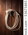 horseshoe and lasso 53673865