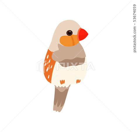 Little Amadin Bird, Cute Birdie Home Pet Vector Illustration 53674059