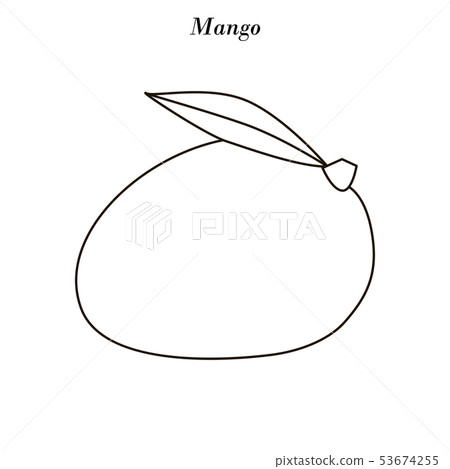 Mango fruit illustration outline 53674255