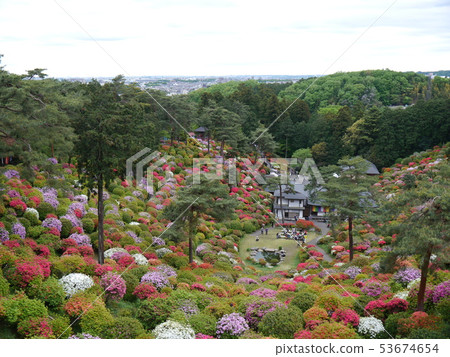 Kanonji的鹽水杜鵑花 53674654