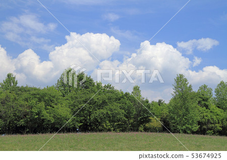 夏日的天空 夏日的天空 53674925