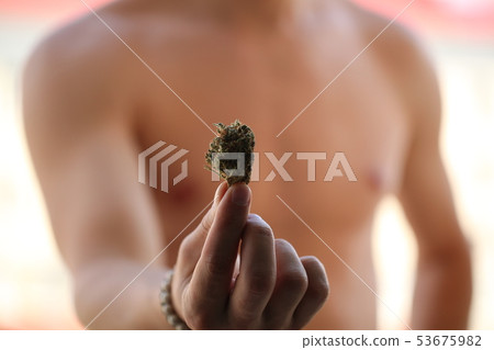 dry medical cannabis marijuana hand 53675982