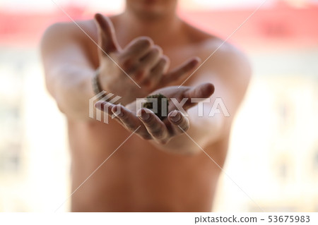 dry medical cannabis marijuana hand 53675983