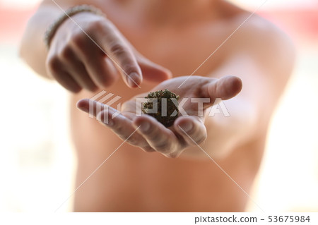 dry medical cannabis marijuana hand 53675984