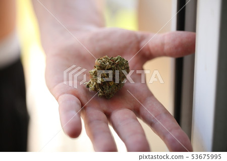 dry medical cannabis marijuana hand 53675995