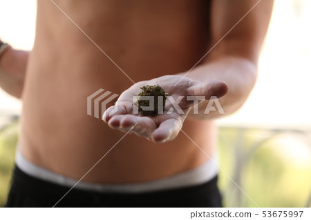 dry medical cannabis marijuana hand 53675997