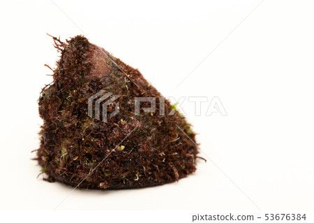 Bathira Bathira 53676384