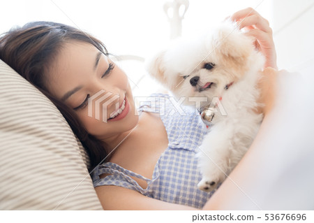 Woman pet lifestyle 53676696