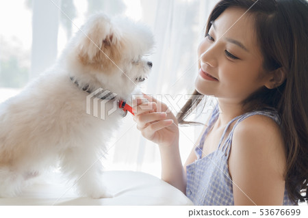 Woman pet lifestyle Woman pet lifestyle 53676699