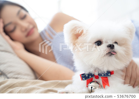 Woman pet lifestyle Woman pet lifestyle 53676700