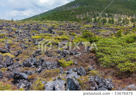 Tsuboiwa自然花園:熔岩高原奇諾市 Tsuboiwa自然花園:熔岩高原奇諾市 53676978