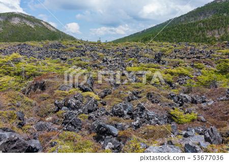 Tsuboiwa Nature Garden: Lava Plateau Chino City Tsuboiwa Nature Garden: Lava Plateau Chino City 53677036