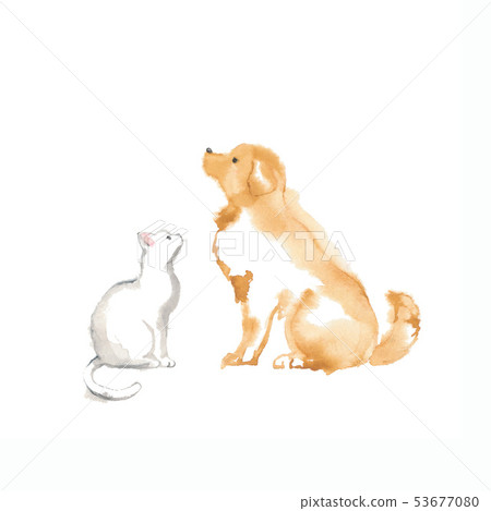 Material of golden retriever and white cat 53677080