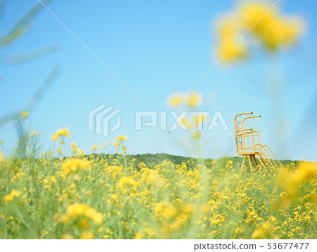 安平鎮北海道強姦領域風景 53677477