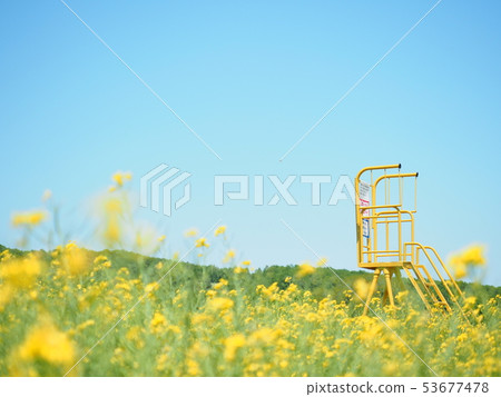 安平鎮北海道強姦領域風景 53677478