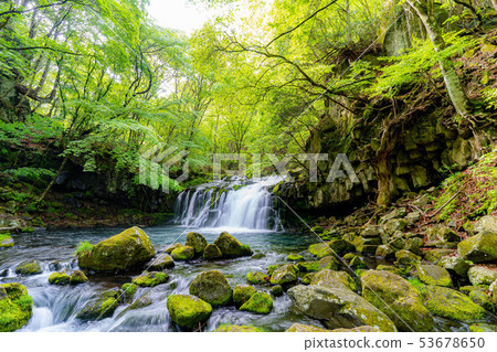 Tateshina Otaki清爽爽口[長野縣] 53678650