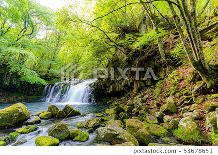 Tateshina Otaki清爽爽口[長野縣] 53678651