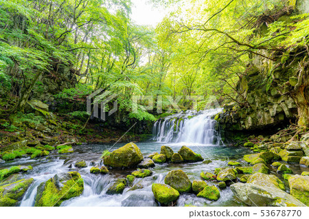 Tateshina Otaki refreshing refreshing [Nagano Prefecture] 53678770