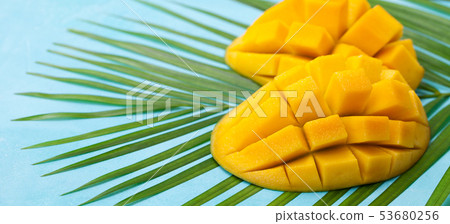 Fresh mango on a palm leaf. Blue background. Close up. Fresh mango on a palm leaf. Blue background. Close up. 53680256