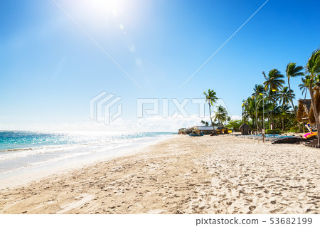 Coconut Palm trees on white sandy beach Coconut Palm trees on white sandy beach 53682199