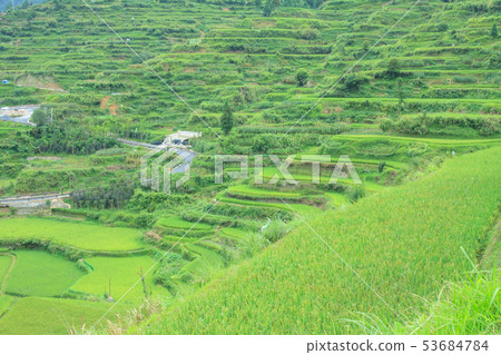 Qianhu Miao Village, China, Guizhou Province 53684784