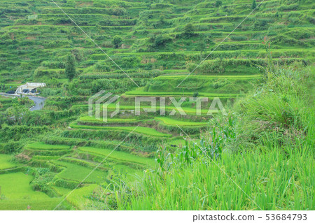Qianhu Miao Village, China, Guizhou Province 53684793