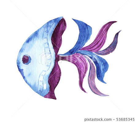 Isolated watercolor fish 53685345
