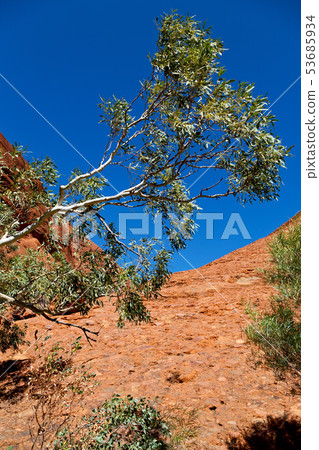 AUSTRALIA,AYERS ROCK-CIRCA AUGUST 2017- mountain AUSTRALIA,AYERS ROCK-CIRCA AUGUST 2017- mountain 53685934