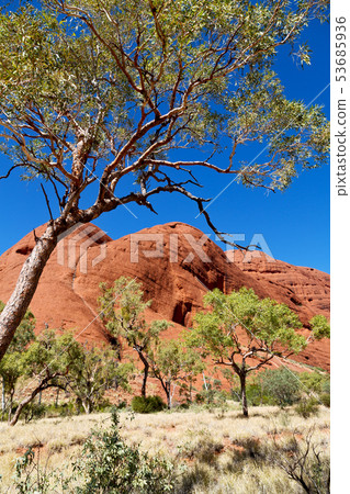 AUSTRALIA,AYERS ROCK-CIRCA AUGUST 2017-mountain in 53685936