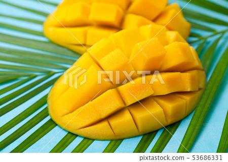 Fresh mango organic product on a palm leaf. Blue background. Close up. Fresh mango organic product on a palm leaf. Blue background. Close up. 53686331