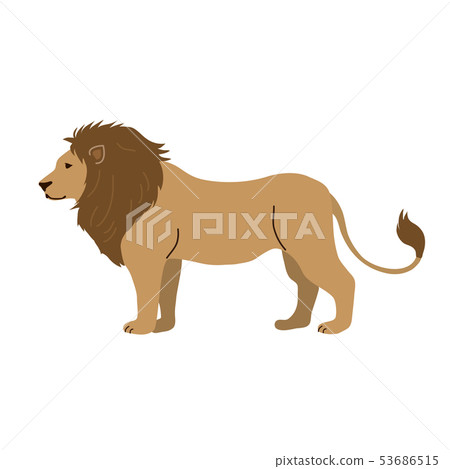 獅子圖 獅子圖 53686515