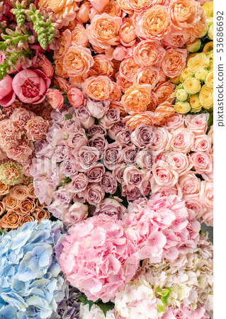 Floral carpet or Wallpaper. Background of mix of flowers. Beautiful flower for catalog or online Floral carpet or Wallpaper. Background of mix of flowers. Beautiful flower for catalog or online 53686692